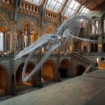 Musei di Budapest