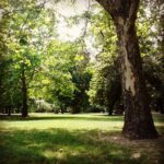 Parco della città di budapest Varosliget