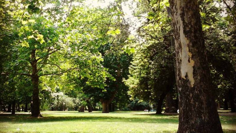 Parco della Città di Budapest (Városliget)
